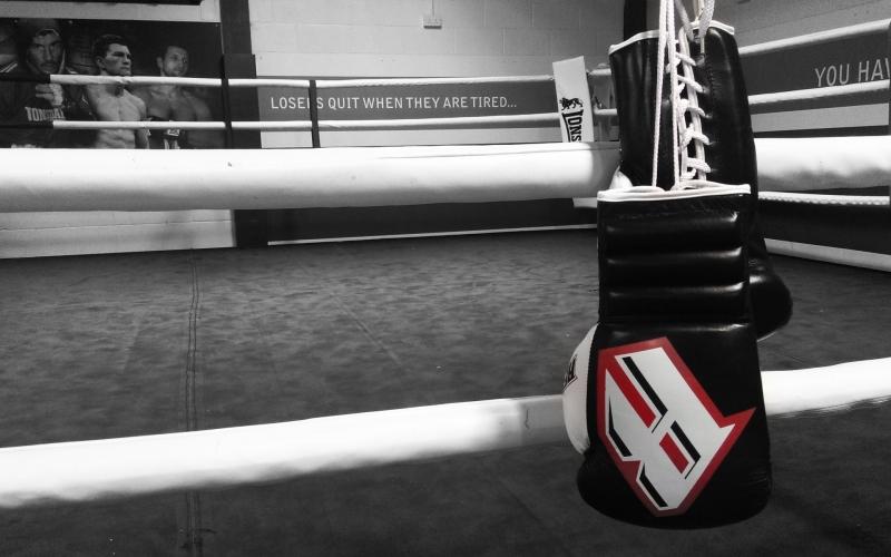 DIFFERENT KINDS OF BOXING GLOVES YOU SHOULD KNOW ABOUT - Revgear Europe