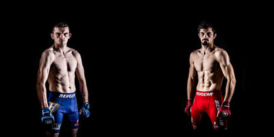 How to get sponsored in MMA, Kickboxing and BJJ