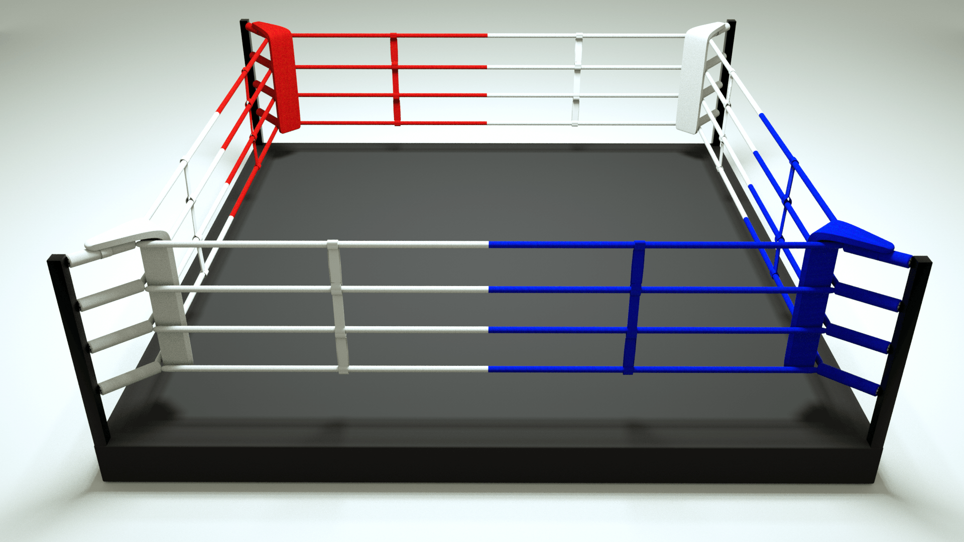 Elevated Training Ring - Revgear Europe