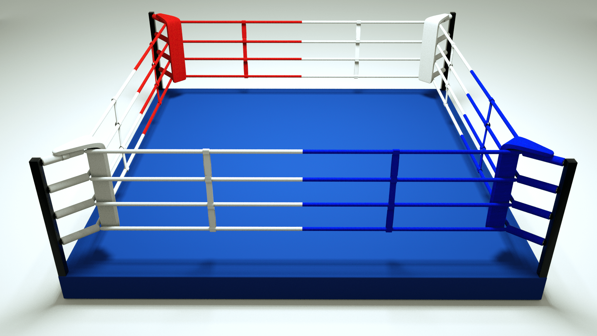 Elevated Training Ring - Revgear Europe