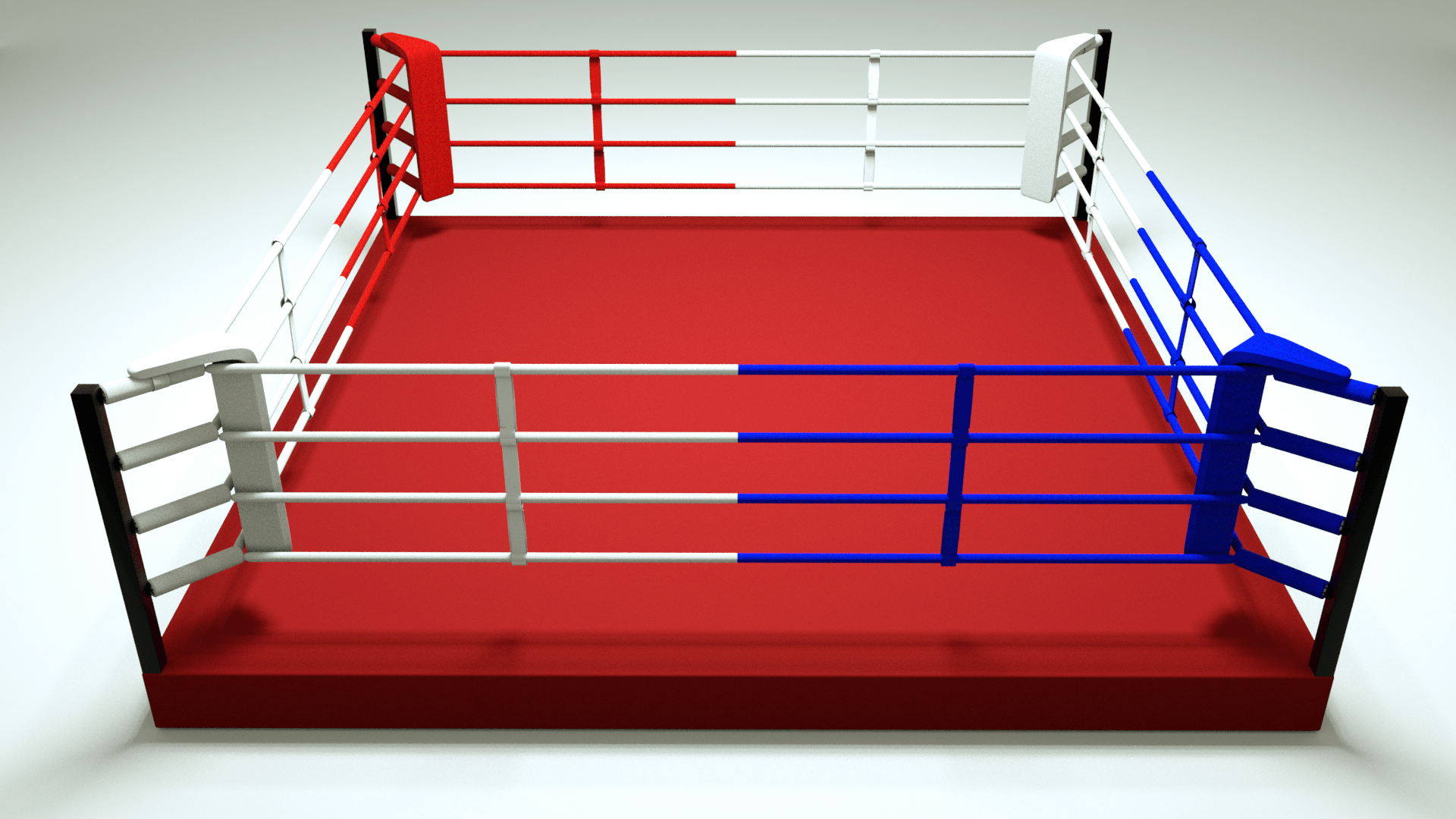 Elevated Training Ring - Revgear Europe