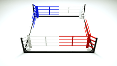 Floor Boxing Ring - Revgear Europe