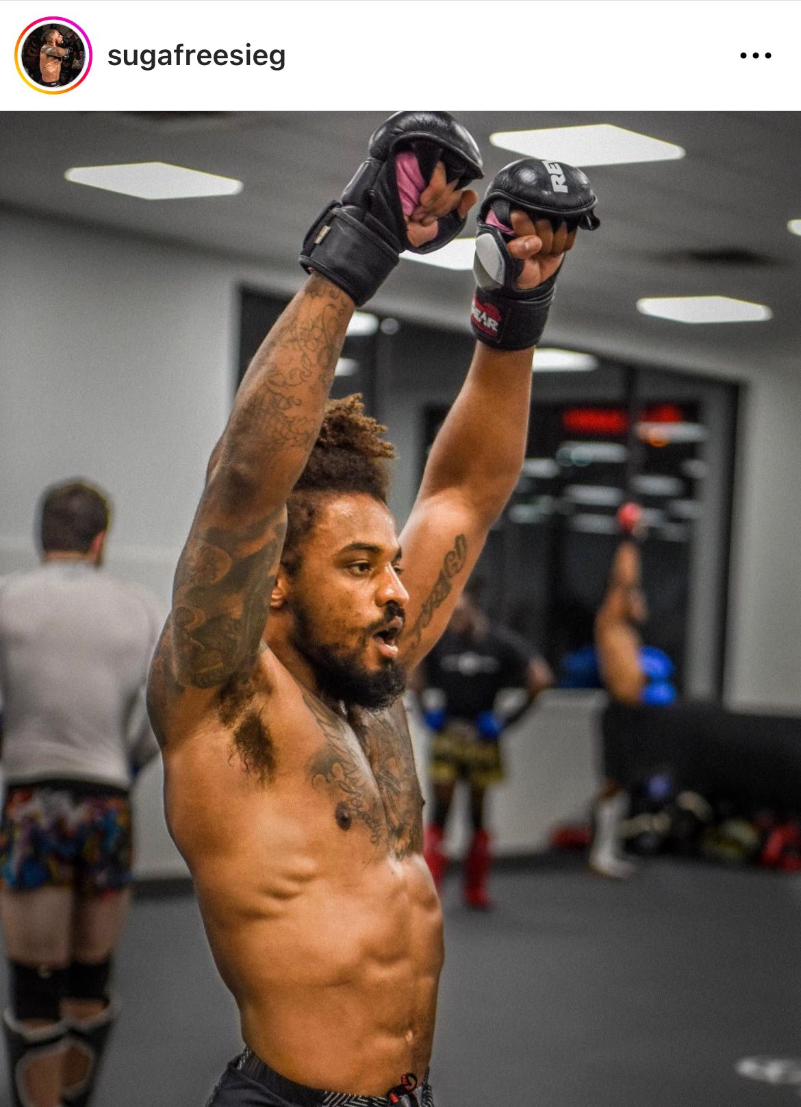 PRO SERIES MS1 MMA TRAINING AND SPARRING GLOVE - BLACK - Revgear Europe